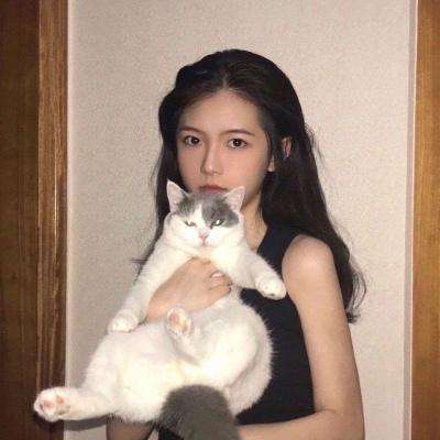 神奇的盗贼游戏下载